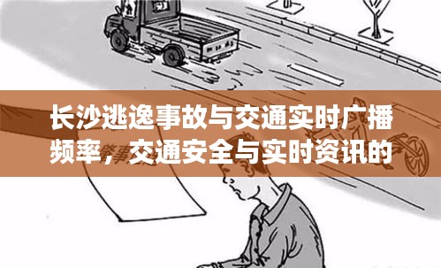 长沙逃逸事故与交通实时广播频率，交通安全与实时资讯的重要性关注