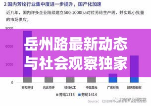 岳州路最新动态与社会观察独家解析，实时分析与独到见解