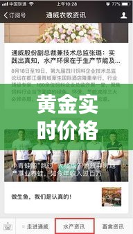 黄金实时价格查找与丰城最新扫黄揭秘