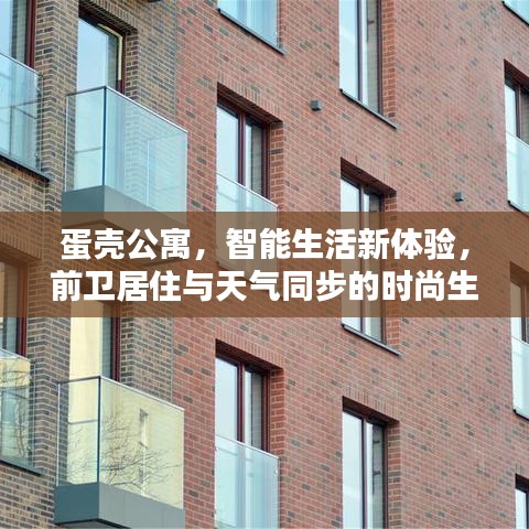 蛋壳公寓,智能生活新体验,前卫居住与天气同步的时尚生活篇章