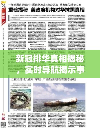 新冠排华真相揭秘,实时导航揭示事实