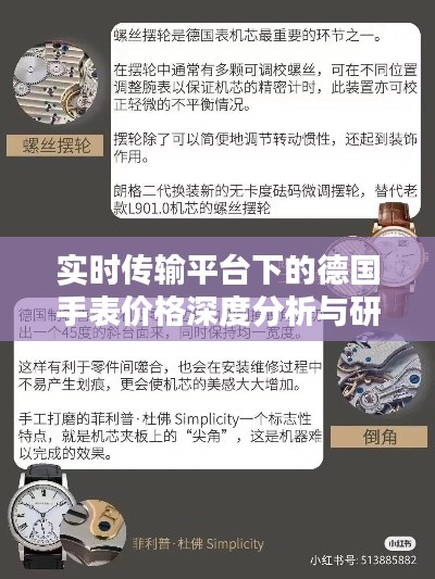 实时传输平台下的德国手表价格深度分析与研究总结