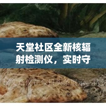 天堂社区全新核辐射检测仪,实时守护您的健康安全,轻松掌握辐射动态!