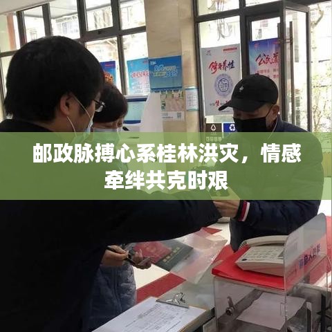 邮政脉搏心系桂林洪灾,情感牵绊共克时艰