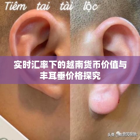 实时汇率下的越南货币价值与丰耳垂价格探究