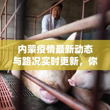 内蒙疫情最新动态与路况实时更新,你所关心的全面汇总!