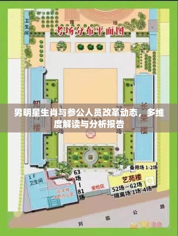 男明星生肖与参公人员改革动态,多维度解读与分析报告