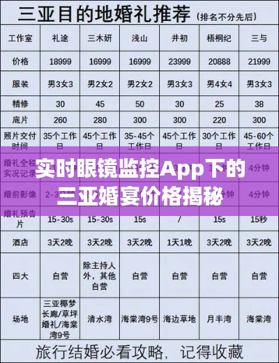 实时眼镜监控App下的三亚婚宴价格揭秘