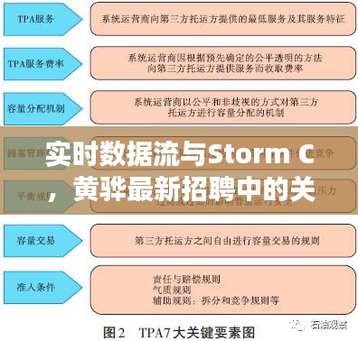 实时数据流与Storm C，黄骅最新招聘中的关键要素解读与警示