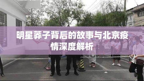 明星莽子背后的故事与北京疫情深度解析