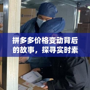 拼多多价格变动背后的故事,探寻实时素材解读抗议真相