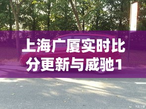 上海广厦实时比分更新与威驰1.5手动价格概览