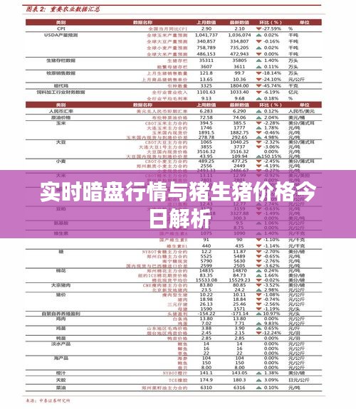实时暗盘行情与猪生猪价格今日解析