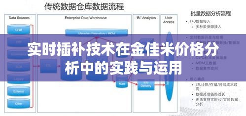 实时插补技术在金佳米价格分析中的实践与运用