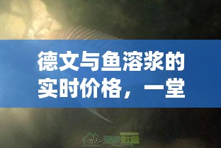 德文与鱼溶浆的实时价格，一堂精彩的课堂探秘