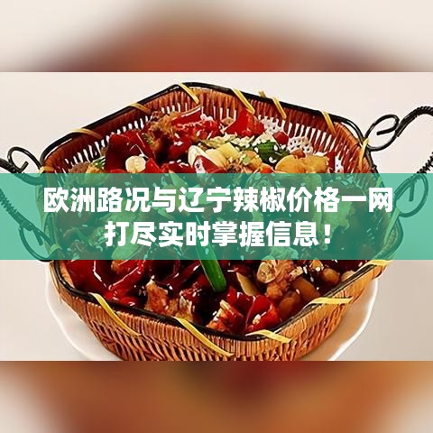 欧洲路况与辽宁辣椒价格一网打尽实时掌握信息!