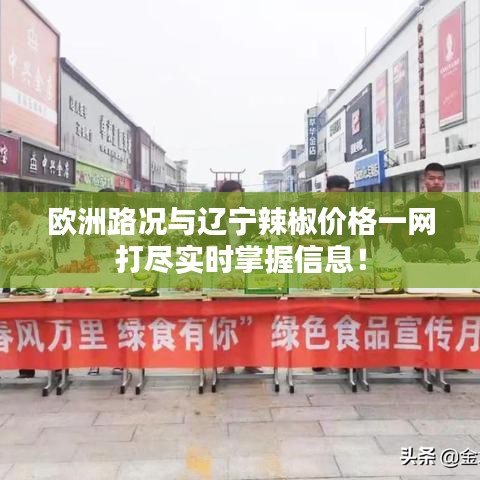 欧洲路况与辽宁辣椒价格一网打尽实时掌握信息!