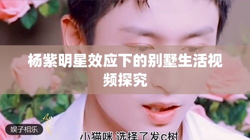 杨紫明星效应下的别墅生活视频探究