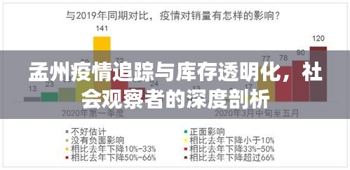 孟州疫情追踪与库存透明化,社会观察者的深度剖析