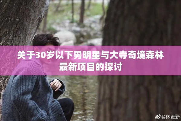 关于30岁以下男明星与大寺奇境森林最新项目的探讨