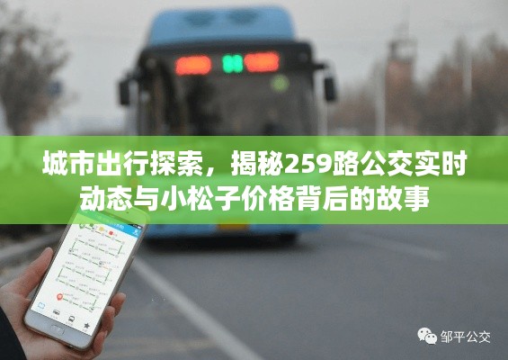 城市出行探索,揭秘259路公交实时动态与小松子价格背后的故事
