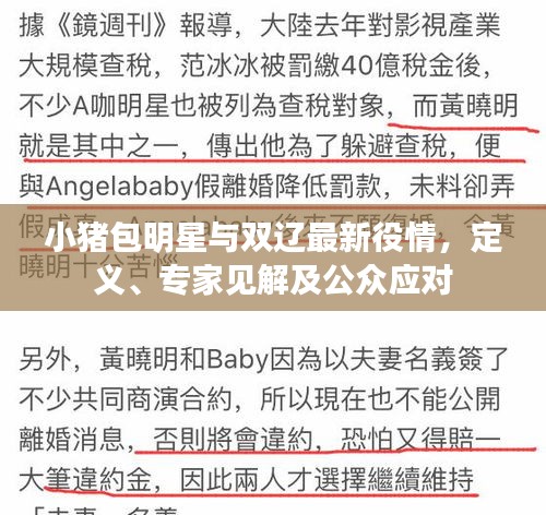 小猪包明星与双辽最新役情,定义、专家见解及公众应对