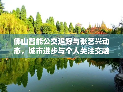 佛山智能公交追踪与张艺兴动态，城市进步与个人关注交融观察