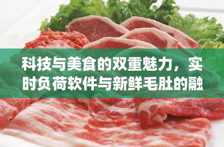 科技与美食的双重魅力,实时负荷软件与新鲜毛肚的融合探索