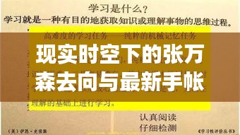 现实时空下的张万森去向与最新手帐胶带，深度解析其内在关联及潜在影响