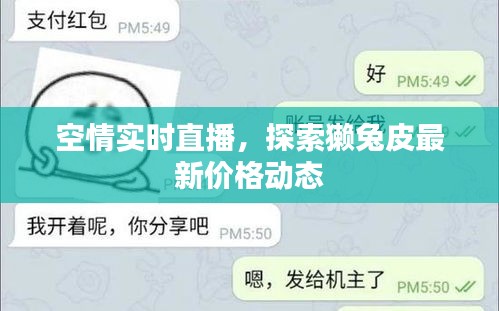 空情实时直播，探索獭兔皮最新价格动态