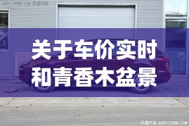 关于车价实时和青香木盆景价格的深度剖析