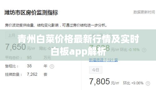 青州白菜价格最新行情及实时白板app解析
