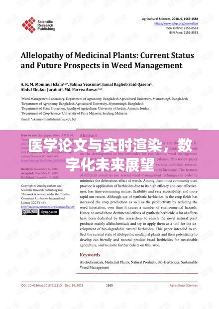 医学论文与实时渲染,数字化未来展望