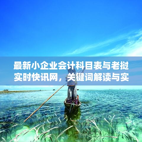 最新小企业会计科目表与老挝实时快讯网,关键词解读与实施指导