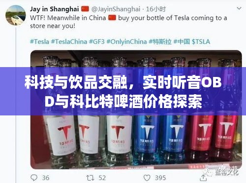 科技与饮品交融,实时听音OBD与科比特啤酒价格探索