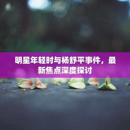 明星年轻时与杨舒平事件，最新焦点深度探讨