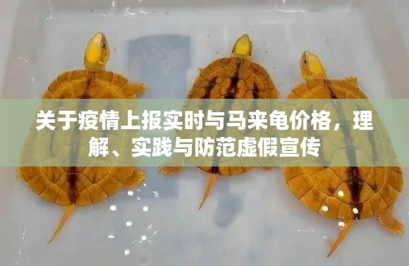 关于疫情上报实时与马来龟价格，理解、实践与防范虚假宣传