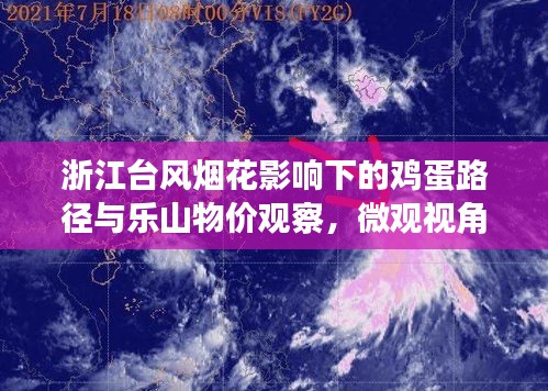 浙江台风烟花影响下的鸡蛋路径与乐山物价观察，微观视角探究社会现象