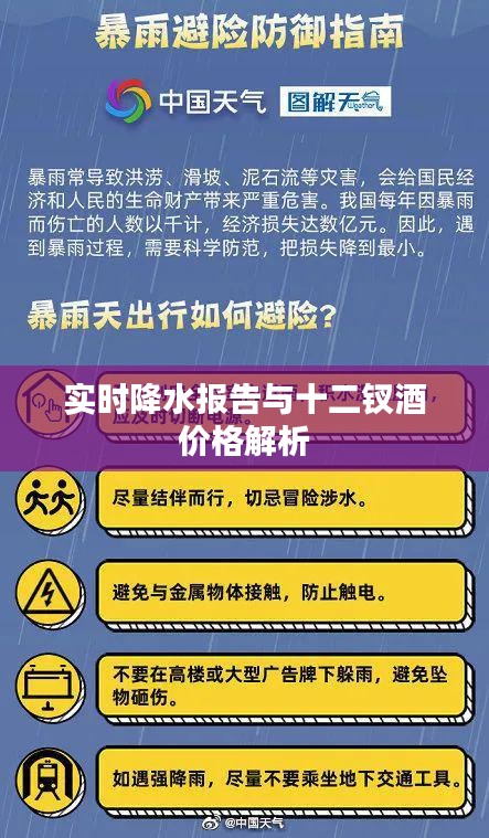 实时降水报告与十二钗酒价格解析