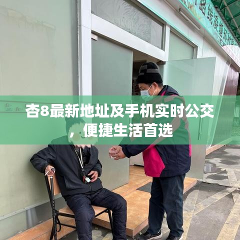 杏8最新地址及手机实时公交,便捷生活首选