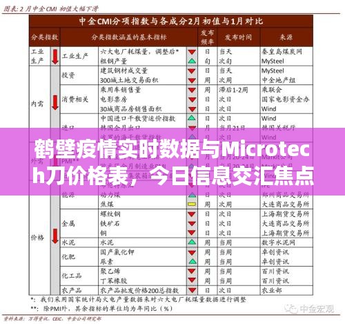 鹤壁疫情实时数据与Microtech刀价格表,今日信息交汇焦点