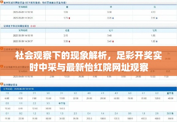 社会观察下的现象解析,足彩开奖实时中采与最新怡红院网址观察