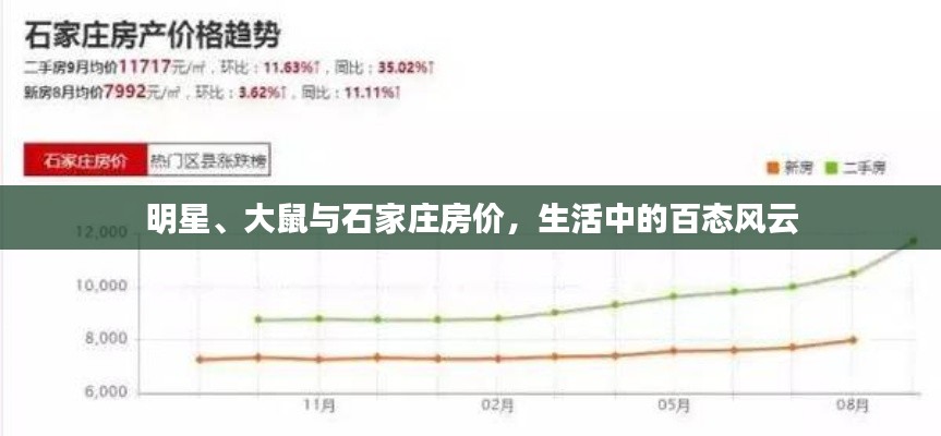 明星、大鼠与石家庄房价,生活中的百态风云