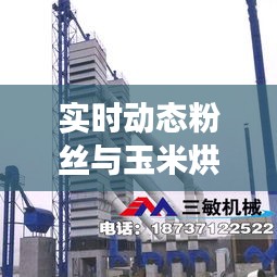 实时动态粉丝与玉米烘干塔设备价格,解读、实践与警示