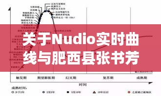 关于Nudio实时曲线与肥西县张书芳的最新消息深度解读