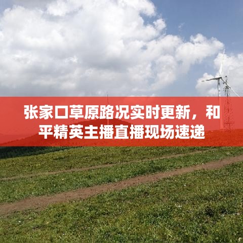 张家口草原路况实时更新,和平精英主播直播现场速递