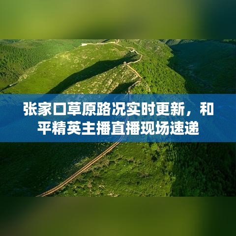 张家口草原路况实时更新,和平精英主播直播现场速递