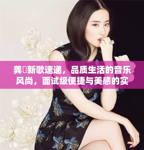 龚玥新歌速递，品质生活的音乐风尚，面试级便捷与美感的实时体验