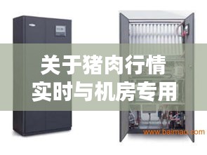 关于猪肉行情实时与机房专用空调价格关系的分析