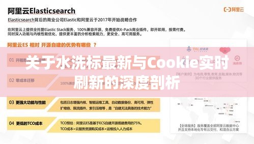 关于水洗标最新与Cookie实时刷新的深度剖析